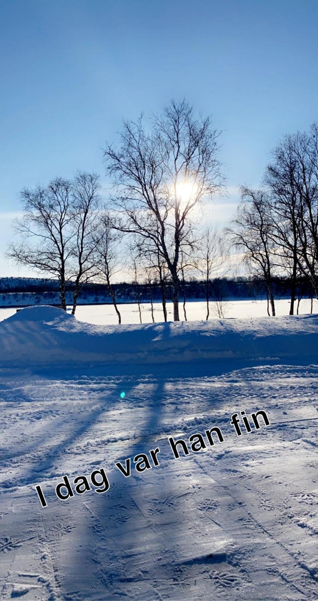 Cottage With Good Standard Next To Neiden River Buitenkant foto